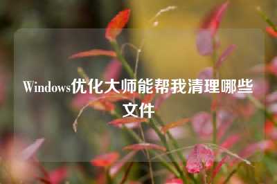 Windows优化大师能帮我清理哪些文件