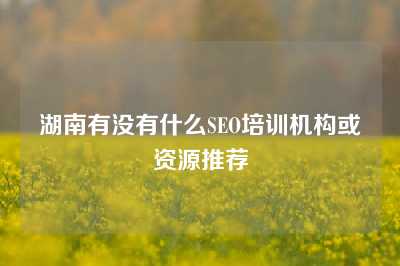 湖南有没有什么SEO培训机构或资源推荐