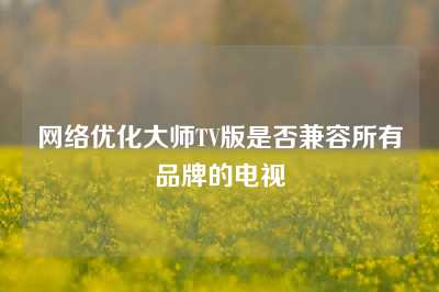 网络优化大师TV版是否兼容所有品牌的电视