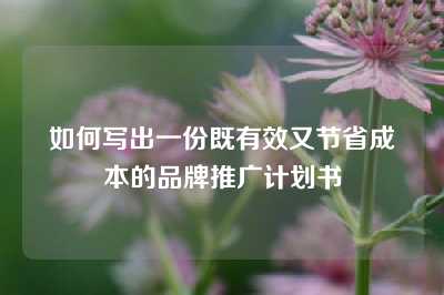 如何写出一份既有效又节省成本的品牌推广计划书