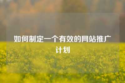 如何制定一个有效的网站推广计划