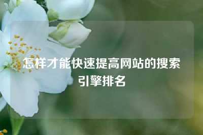 怎样才能快速提高网站的搜索引擎排名