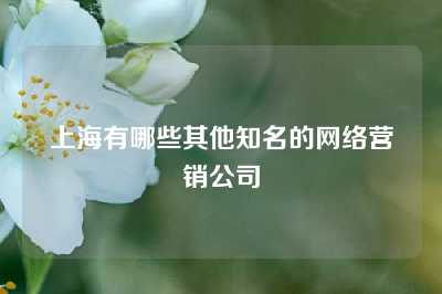 上海有哪些其他知名的网络营销公司