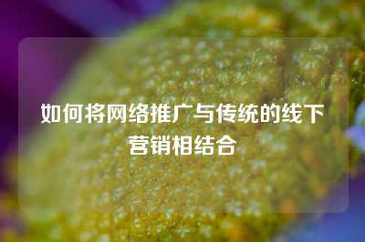 如何将网络推广与传统的线下营销相结合