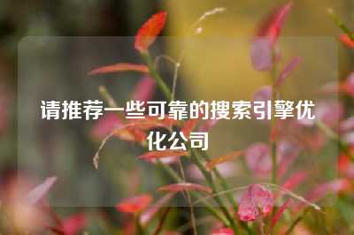 请推荐一些可靠的搜索引擎优化公司