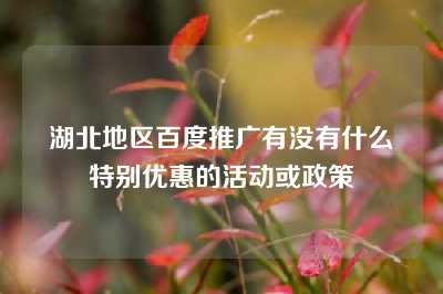 湖北地区百度推广有没有什么特别优惠的活动或政策