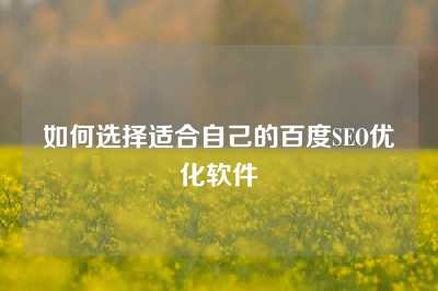 如何选择适合自己的百度SEO优化软件