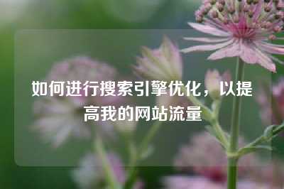 如何进行搜索引擎优化，以提高我的网站流量