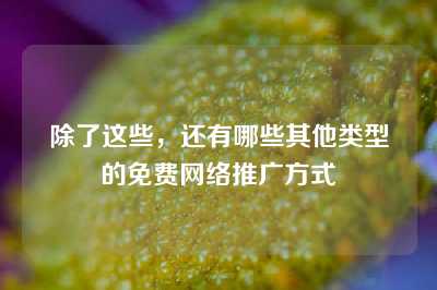 除了这些，还有哪些其他类型的免费网络推广方式