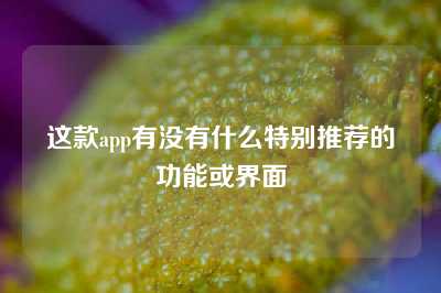 这款app有没有什么特别推荐的功能或界面