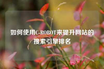 如何使用C-ROBOT来提升网站的搜索引擎排名