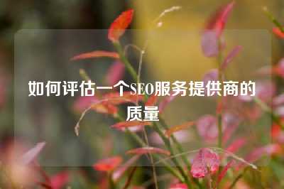 如何评估一个SEO服务提供商的质量