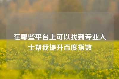 在哪些平台上可以找到专业人士帮我提升百度指数