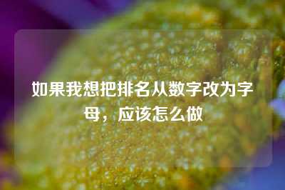 如果我想把排名从数字改为字母，应该怎么做