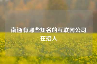 南通有哪些知名的互联网公司在招人