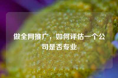 做全网推广，如何评估一个公司是否专业