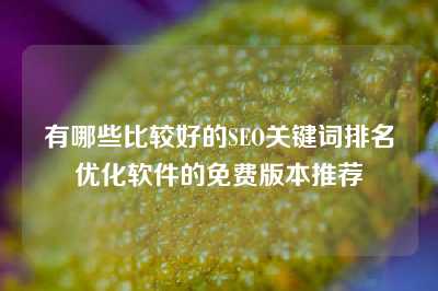 有哪些比较好的SEO关键词排名优化软件的免费版本推荐