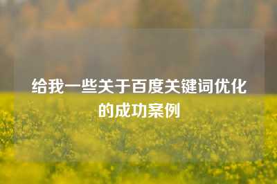 给我一些关于百度关键词优化的成功案例