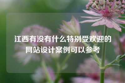 江西有没有什么特别受欢迎的网站设计案例可以参考