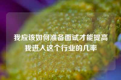 我应该如何准备面试才能提高我进入这个行业的几率