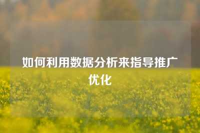 如何利用数据分析来指导推广优化