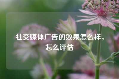 社交媒体广告的效果怎么样，怎么评估