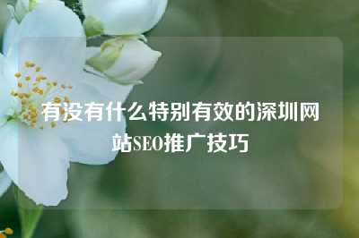 有没有什么特别有效的深圳网站SEO推广技巧