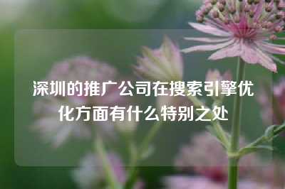 深圳的推广公司在搜索引擎优化方面有什么特别之处