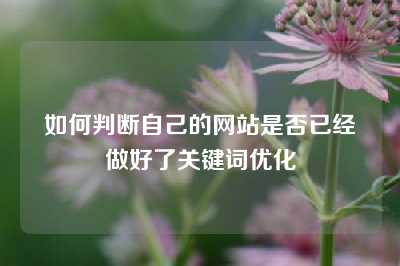 如何判断自己的网站是否已经做好了关键词优化