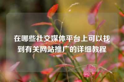 在哪些社交媒体平台上可以找到有关网站推广的详细教程