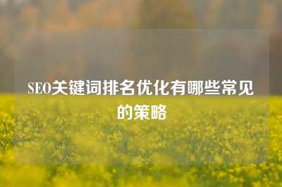 SEO关键词排名优化有哪些常见的策略