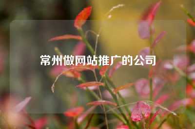 常州做网站推广的公司