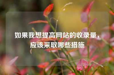 如果我想提高网站的收录量，应该采取哪些措施