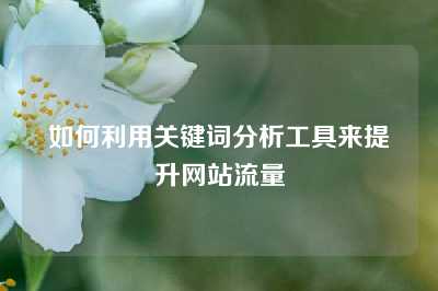 如何利用关键词分析工具来提升网站流量