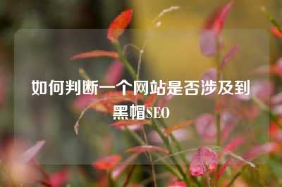 如何判断一个网站是否涉及到黑帽SEO