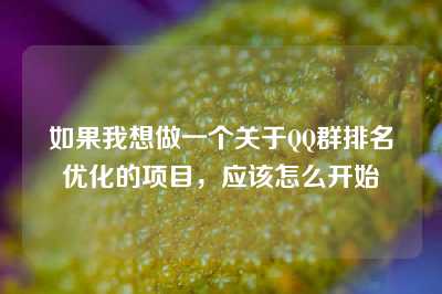 如果我想做一个关于QQ群排名优化的项目，应该怎么开始