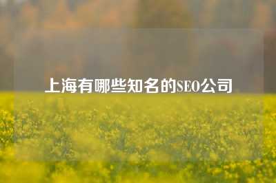 上海有哪些知名的SEO公司