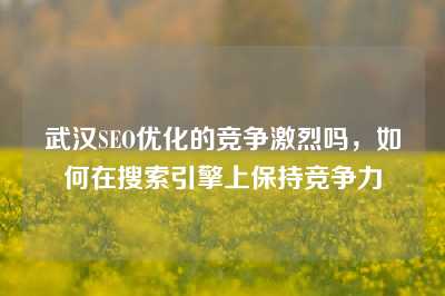 武汉SEO优化的竞争激烈吗，如何在搜索引擎上保持竞争力