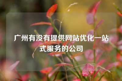 广州有没有提供网站优化一站式服务的公司