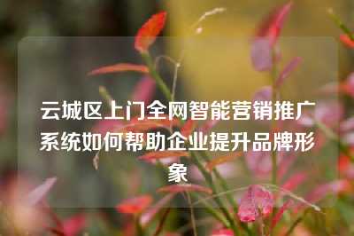 云城区上门全网智能营销推广系统如何帮助企业提升品牌形象