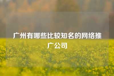 广州有哪些比较知名的网络推广公司