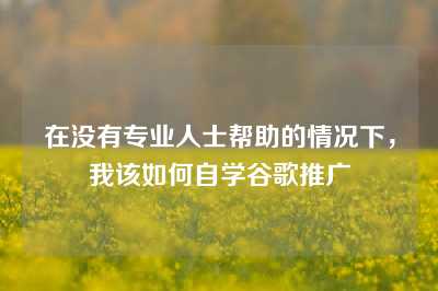 在没有专业人士帮助的情况下，我该如何自学谷歌推广