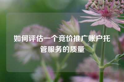 如何评估一个竞价推广账户托管服务的质量