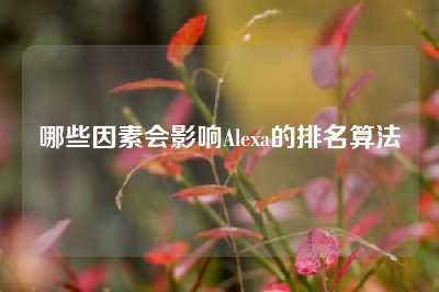 哪些因素会影响Alexa的排名算法