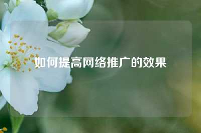 如何提高网络推广的效果